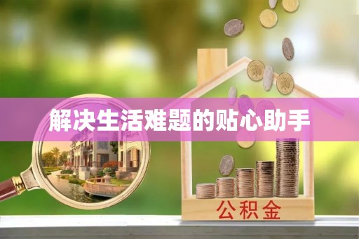 东西湖解决生活难题的贴心助手