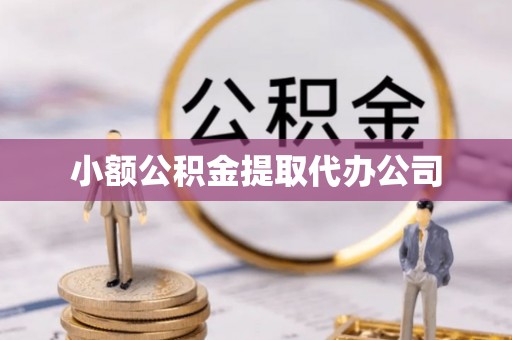 东西湖小额公积金提取代办公司