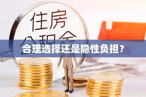 东西湖合理选择还是隐性负担？