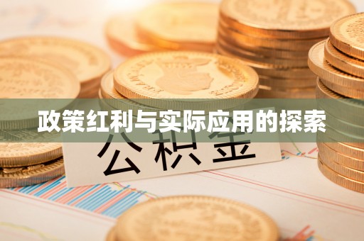 东西湖政策红利与实际应用的探索