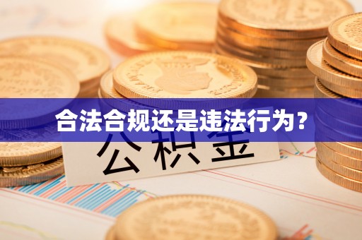 东西湖合法合规还是违法行为？