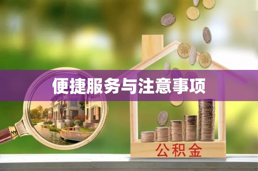 东西湖便捷服务与注意事项