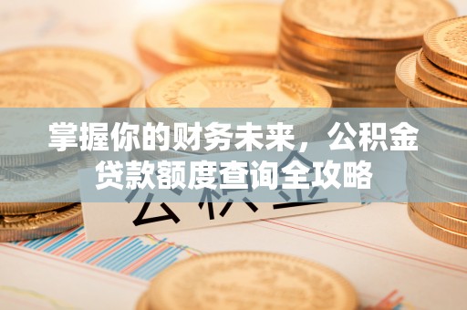 东西湖掌握你的财务未来，公积金贷款额度查询全攻略