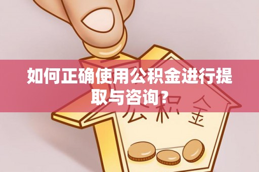 东西湖如何正确使用公积金进行提取与咨询？