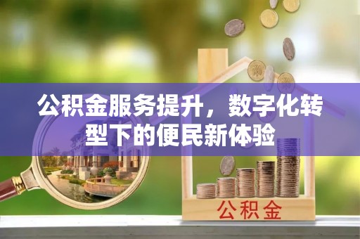 东西湖公积金服务提升，数字化转型下的便民新体验