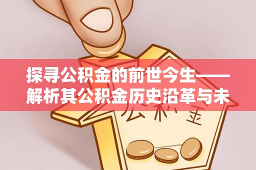 东西湖探寻公积金的前世今生——解析其公积金历史沿革与未来方向
