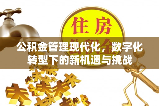 东西湖公积金管理现代化，数字化转型下的新机遇与挑战