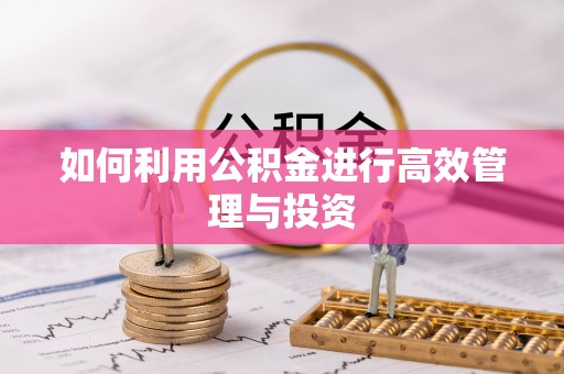 东西湖如何利用公积金进行高效管理与投资
