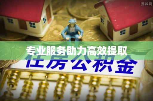 东西湖专业服务助力高效提取