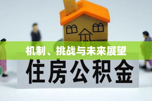 东西湖机制、挑战与未来展望