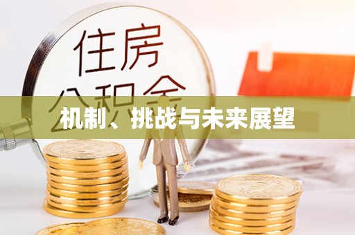 东西湖机制、挑战与未来展望