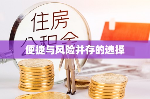 东西湖便捷与风险并存的选择