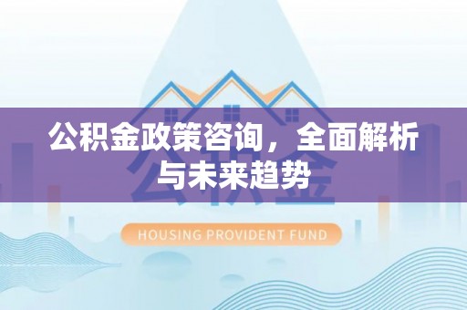 东西湖公积金政策咨询，全面解析与未来趋势