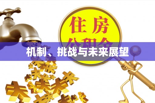 东西湖机制、挑战与未来展望